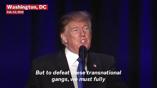 Trump Compares Border Wall To Mt. Everest: 'People Aren't Going Through Very Easy'