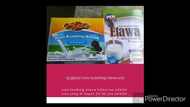 081290634215 (tsel) distributor agen jual susu kambing etawa bubuk