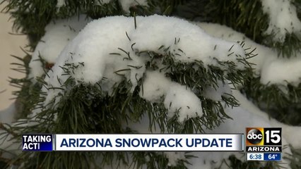SRP: Winter snowpack on track to recharge Arizona waterways