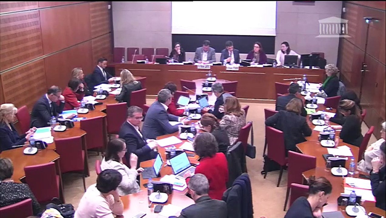 Commission des affaires culturelles : Institution d’un fonds de soutien à la création artistique ; Création d’un permis de conduire public gratuit - Mercredi 13 février 2019