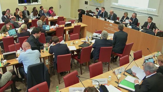 Commission des Affaires étrangères : M. Jean-Yves Le Drian, Ministre de l'Europe et des Affaires étrangères - Mercredi 13 février 2019