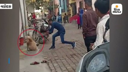 Divya bhaskar videos