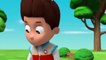 Paw Patrol Pups Save English - Animation Movies Top For Kids S05E025