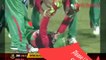 Top 5  Bizarre Run Outs incidents in Cricket - Bizarre Run Outs