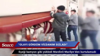 Eşeği kamyon gibi yükledi Mardinli Marilyn’den kurtulamadı
