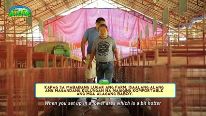 Alagang Magaling  S11 Ep8 - Porkchamp