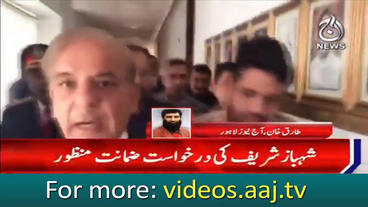 LHC approved Shehbaz Sharif  bail