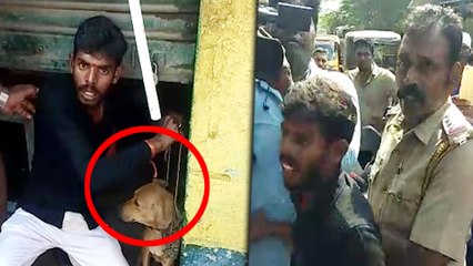 நாய்க்கு தாலி கட்டியவர் மாமியார் வீட்டுக்கு போனார்- வீடியோ