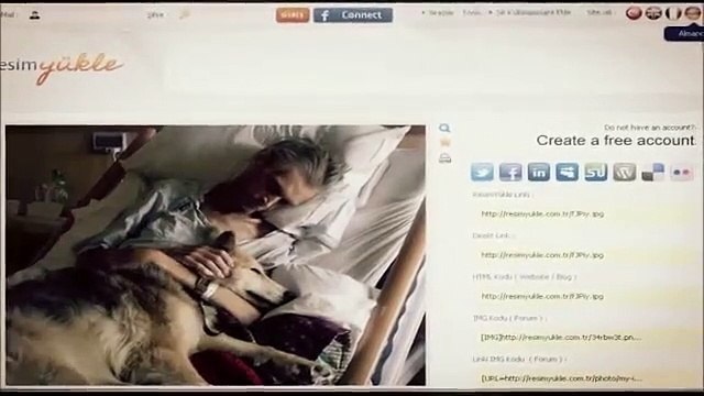 Kolay ve Hızlı Resim Yükleme Sitesi - resim yükle - resim paylaş - hızlı resim - resim upload