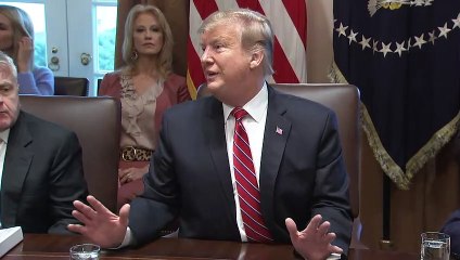 Trump drängt Verbündete zur Rücknahme von IS-Kämpfern