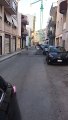 Andria: cani randagi in via Corato