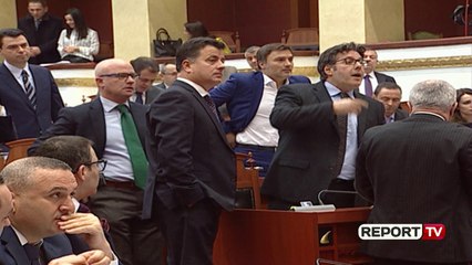 Report TV - Qëlloi Ramën me bojë, Ruçi - Palokës: Dil jashët, deputeti i PD 10 ditë jashtë seancave