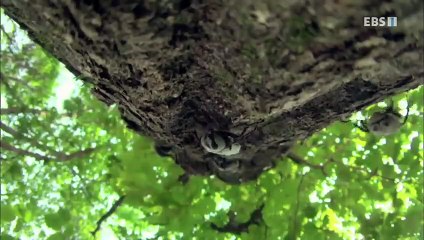 영암출장안마 -100%미인Ø7Øs4110s6674【YOY87카톡】영암전지역출장마사지샵영암출장go안마ok영암출장마사지황형∑⇒∃만남1위출장안마