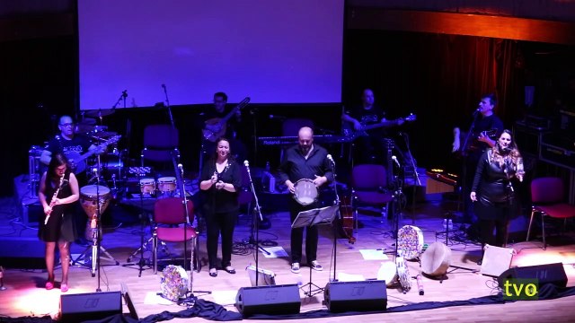 TVO-1330 (14 FEBRERO DEL 2019)