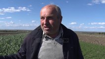 Fermerët nuk dinë çfarë të mbjellin - Top Channel Albania - News - Lajme