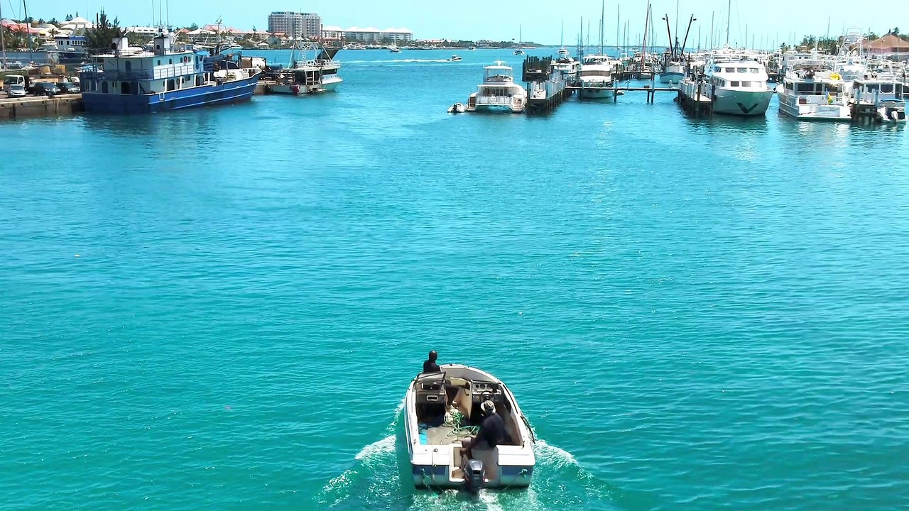 Jamais sans ma conque - Nassau Paradise Island - Bahamazing Experiences 2019