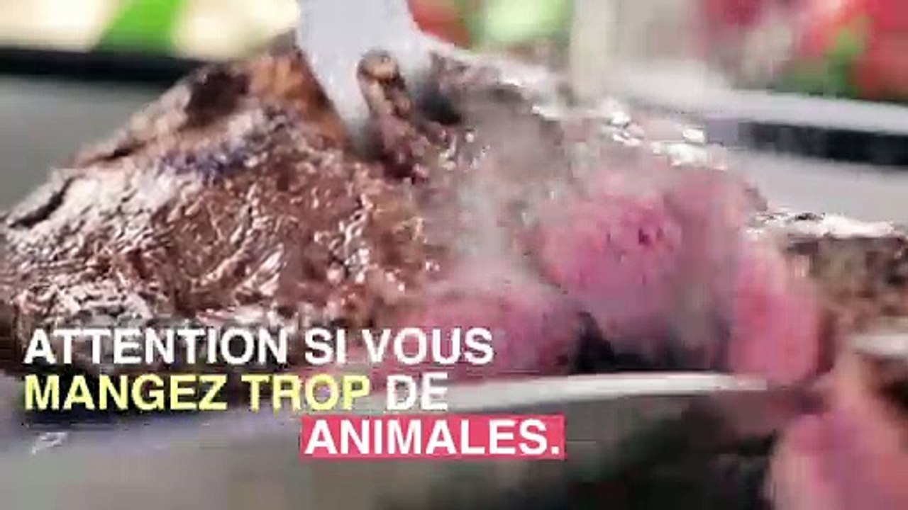 Stéathose héaptique : attention aux protéines animales_