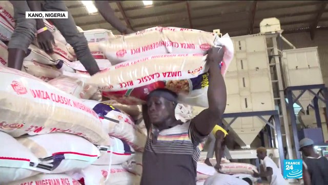 Nigeria Elections: How has the country's economy improved under Buhari