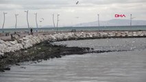 Yalova'da Deniz Çekildi