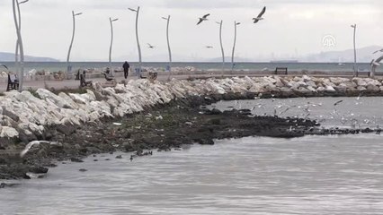 Deniz 10 Metre Çekildi