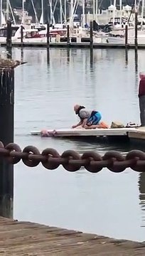 Ce vieux plonge dans l'eau glacée pour sauver un chien en train de se noyer !