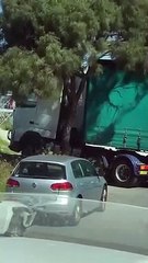 Il arrache un arbre avec son camion en reculant !