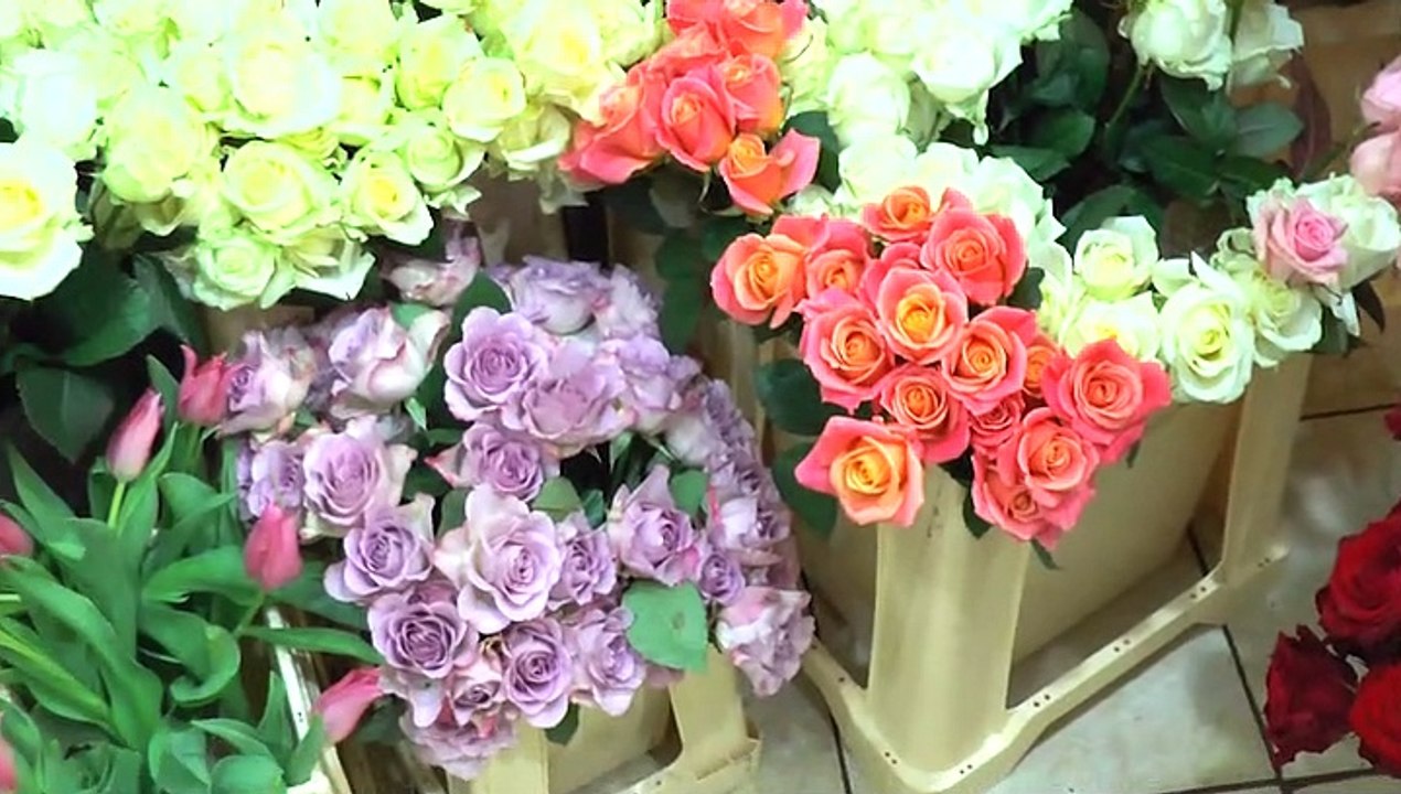 The Dutch Flower Shop! 