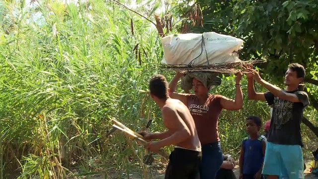Mercaderes de miseria en los cruces fronterizos con Venezuela