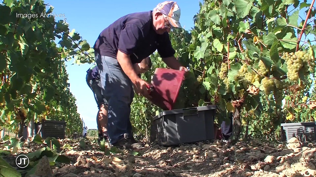 Le journal - 14/02/2019 - Le succès du vin ligérien aux Etats-Unis