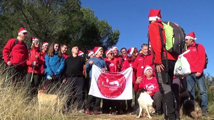 FELIÇ 2019 - Corresendes XRS