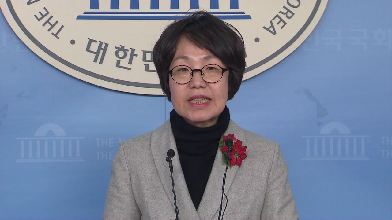 민주당 "한국당 징계 유예 매우 유감...꼬리 자르기" / YTN
