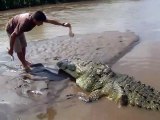 Ce crocodile s'appelle Tyson et il est le plus vieux crocodile du Costa Rica