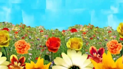 Charlie and Lola  S3E21 I Am Making a Craze