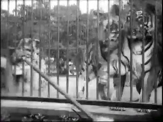 Auguste & Louis Lumière: Tigres (1896)