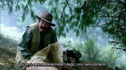 Walking With Cavemen - The Survivors (4. bölüm)