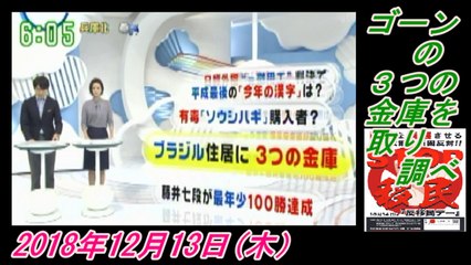 9-5 Zip !、ゴーンの３つの金庫を取り調べ。菜々子の独り言　2018年12月13日(木）