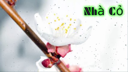 Audio đam mỹ [Chương 21-24] Nhiếp Chính Vương.