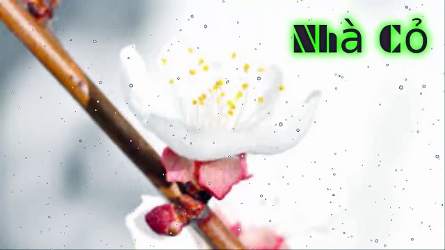 Audio đam mỹ [Chương 21-24] Nhiếp Chính Vương.