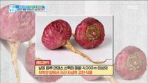 [HEALTH] Andes' wild ginseng that prevents cancer? 0000!,기분 좋은 날20190215