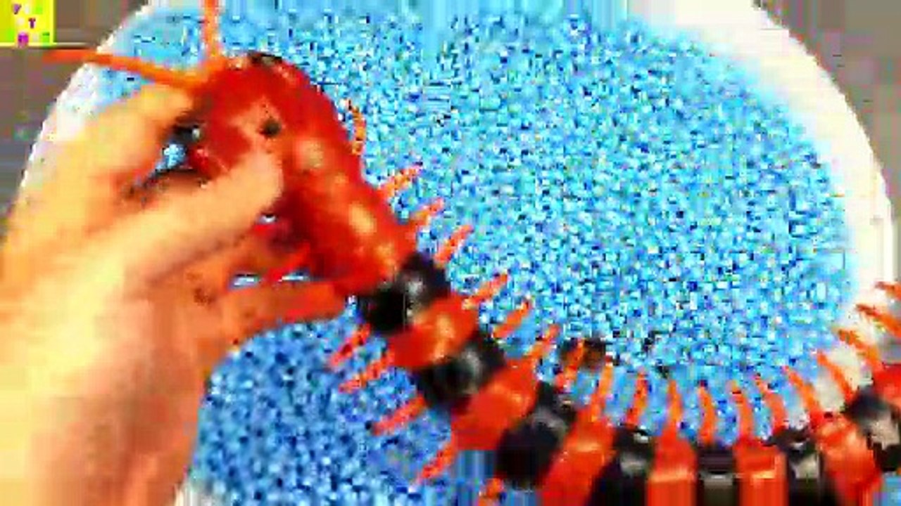 Learn Colors with Animals and Farm Surprise Toy for Kid Child with Foam Beads