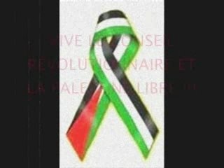 Solidarités avec la Palestine !