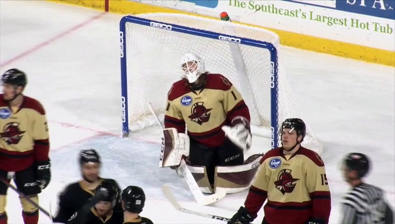 ECHL Atlanta 2 Newfoundland 8