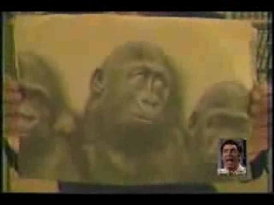 Un rabbin compare les noirs à des singes,