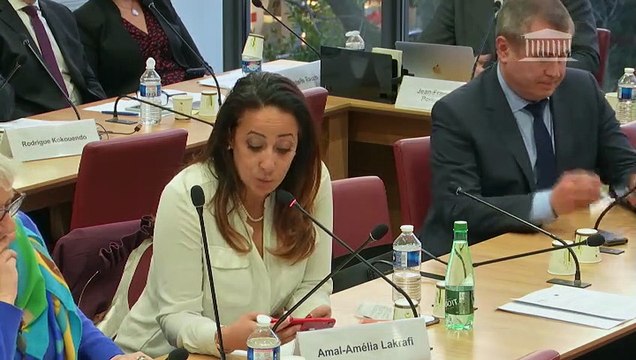 Commission des Affaires étrangères : Mme Nathalie Loiseau, ministre chargée des Affaires européennes - Mardi 12 février 2019