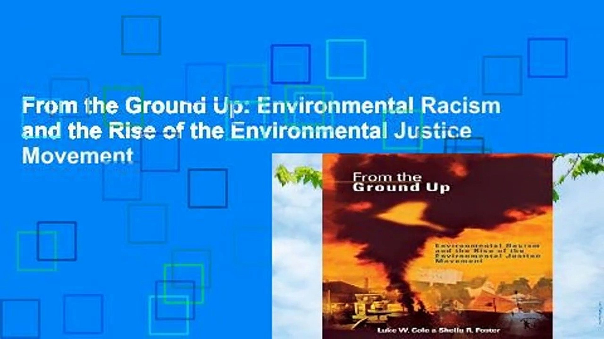 From The Ground Up Environmental Racism And The Rise Of The Environmental Justice Movement Law Books Ourvagabondstories Com