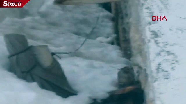 Dünyada nadiren rastlanan Beyaz Gelincik, Tunceli'de görüldü