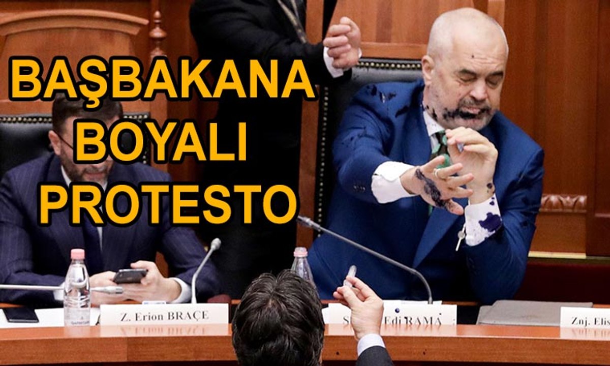 Başbakana boyalı protesto