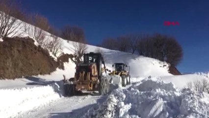 Siirt'te 24 Köy Yolu Kardan Kapandı