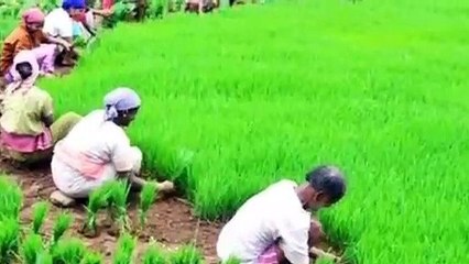 किसानों की ऋण माफ़ी क्या छलावा है, इससे 15% किसानों को ही मिलेगा लाभ