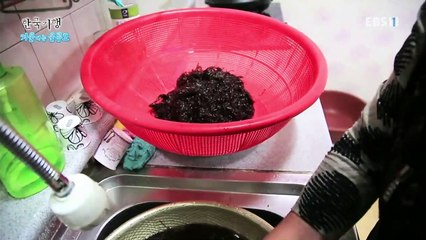 한국기행 - Korea travel_겨울에는 울릉도 5부 살아볼까요 지금 여기_#002